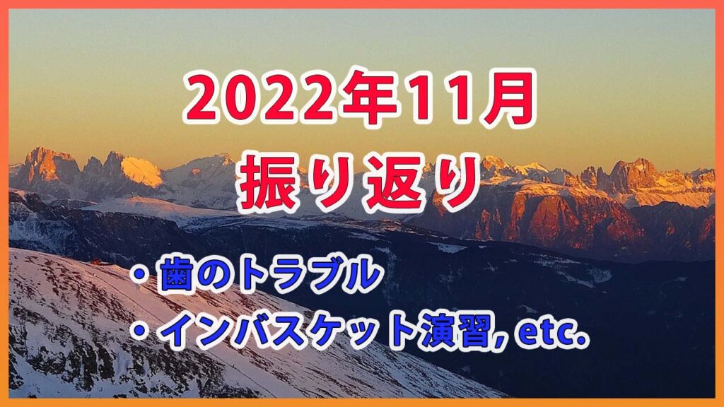 2022年11月の振り返り / 矯正トラブルとインバスケット演習等
