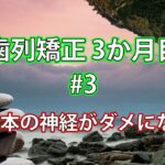 歯列矯正3か月目 #3 / 歯1本の神経がダメになる
