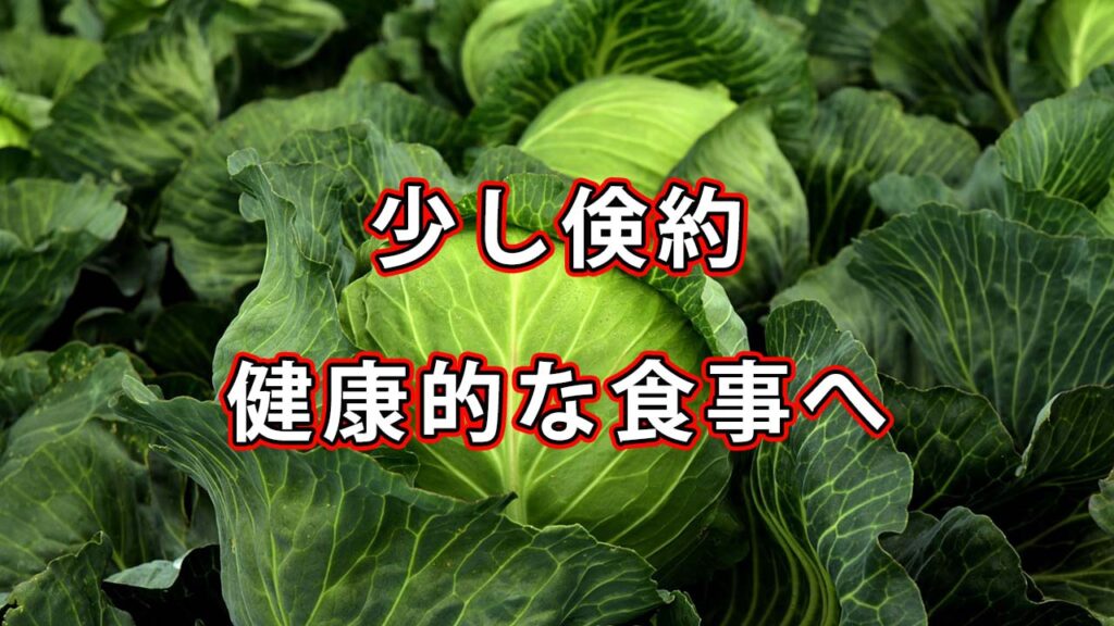 【野菜マシマシ】少し倹約しつつ、健康的な料理を食べていく
