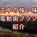 矯正中にお勧めの電動歯ブラシ等を紹介!