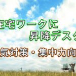 【レビュー】在宅ワークに昇降デスクが快適すぎた。　FlexiSpot E8で“座りっぱなし問題”が一気に解決