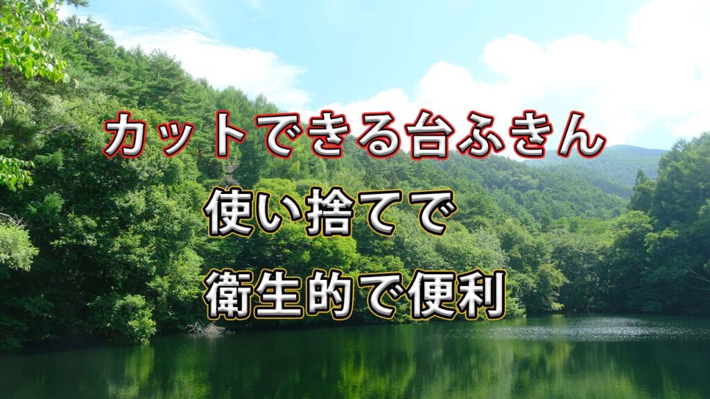 【キッチン周りの衛生問題を解決】カットできる台ふきんが“想像以上に便利”だった話