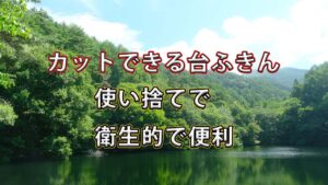 【キッチン周りの衛生問題を解決】カットできる台ふきんが“想像以上に便利”だった話